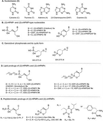 Overview of Biologically Active Nucleoside Phosphonates